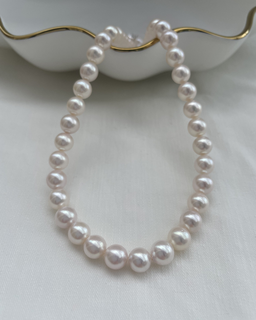 Camellia / Akoya 8-9mm RD/SRD