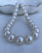 The White Phoenix / South Sea 14mm